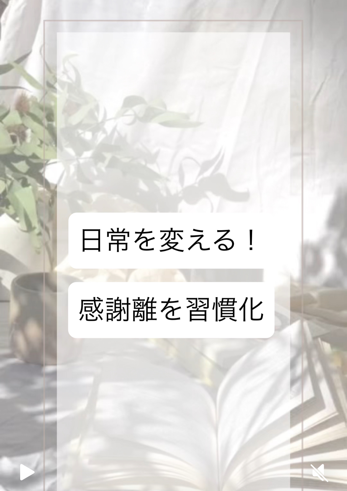 6月1週目✨火曜朝☀️感謝離