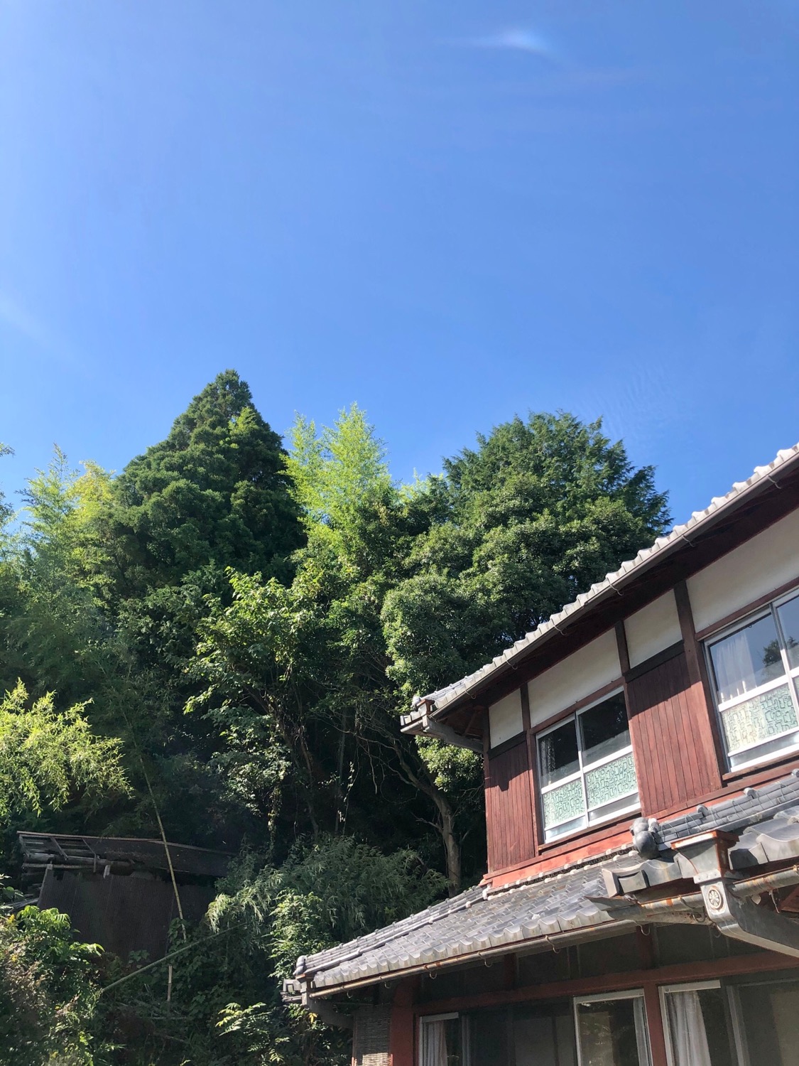 桐生でオーラ鑑定✨