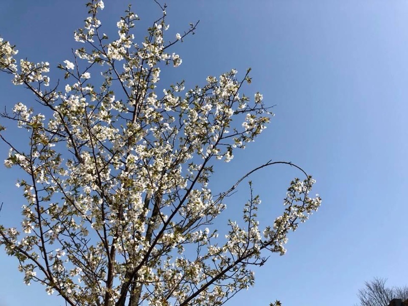 ３月最終日に想うこと