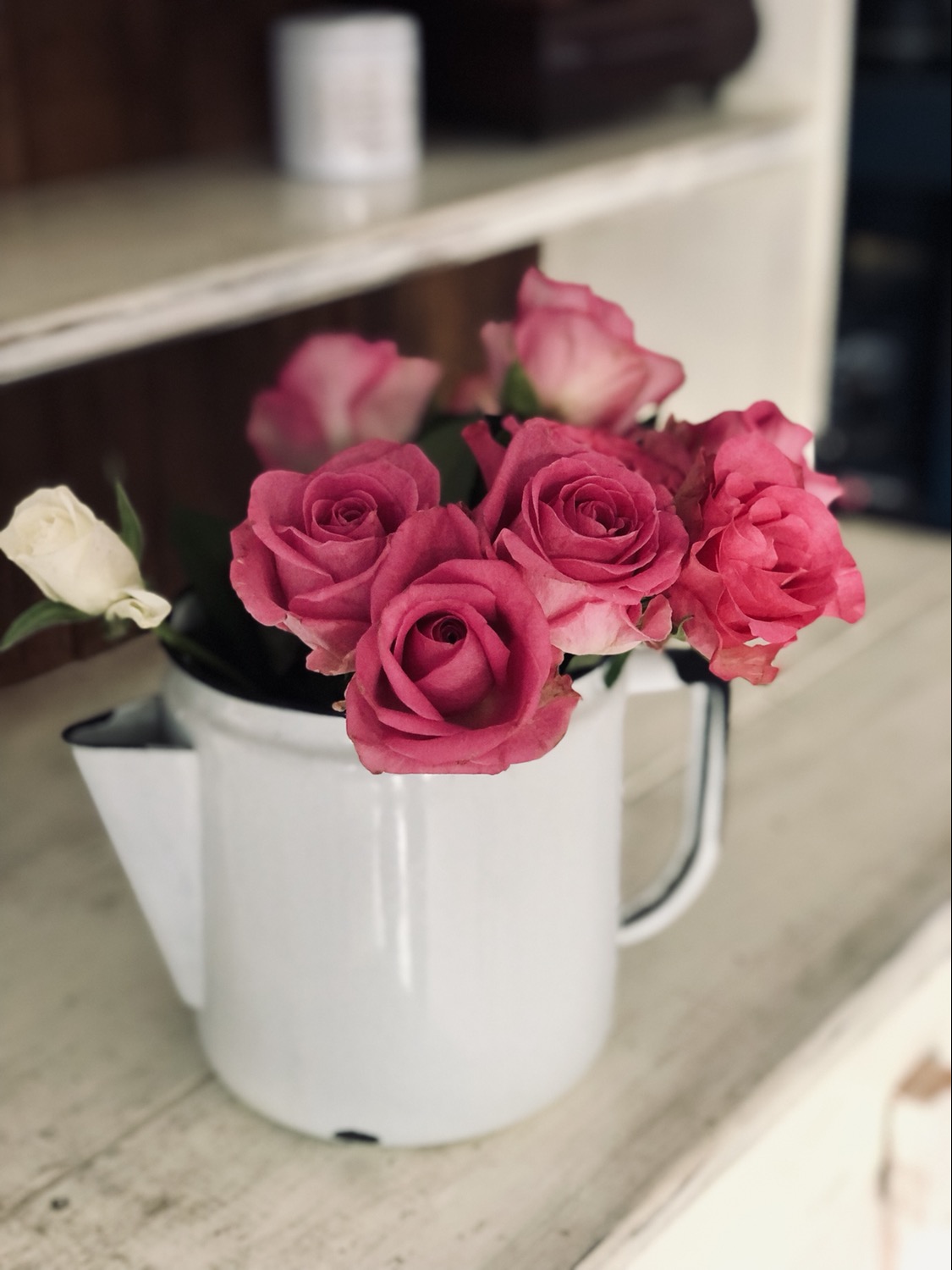 ピンクのバラ❣️