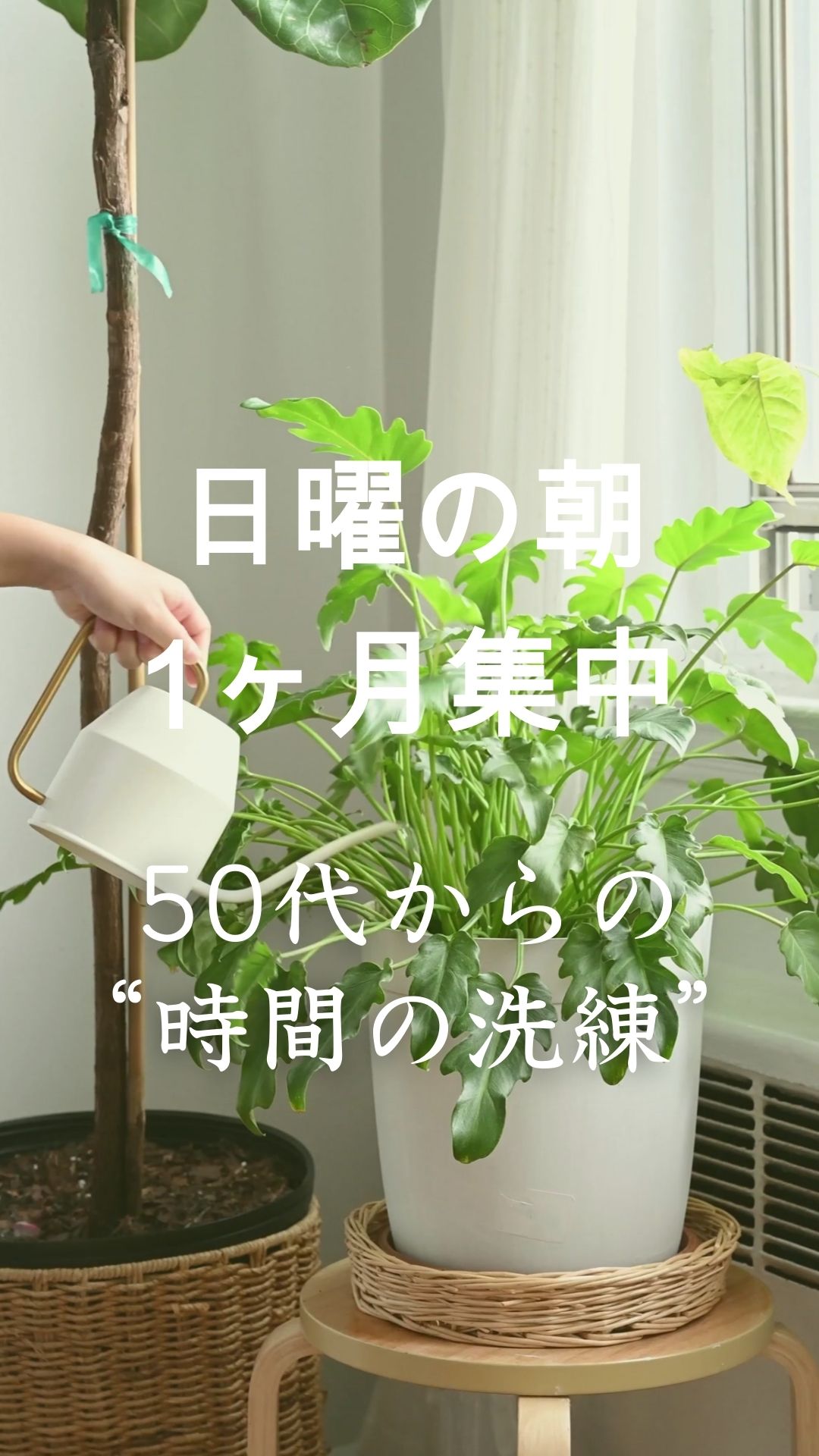 日曜の今朝☀️ 50代以上の“時間の洗練”