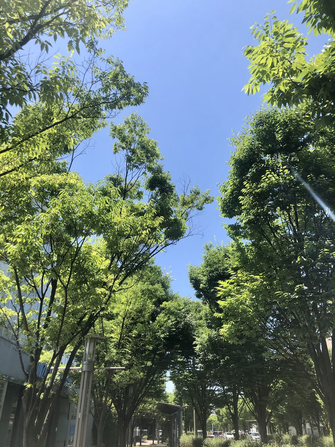 ちょっとした贅沢な時間