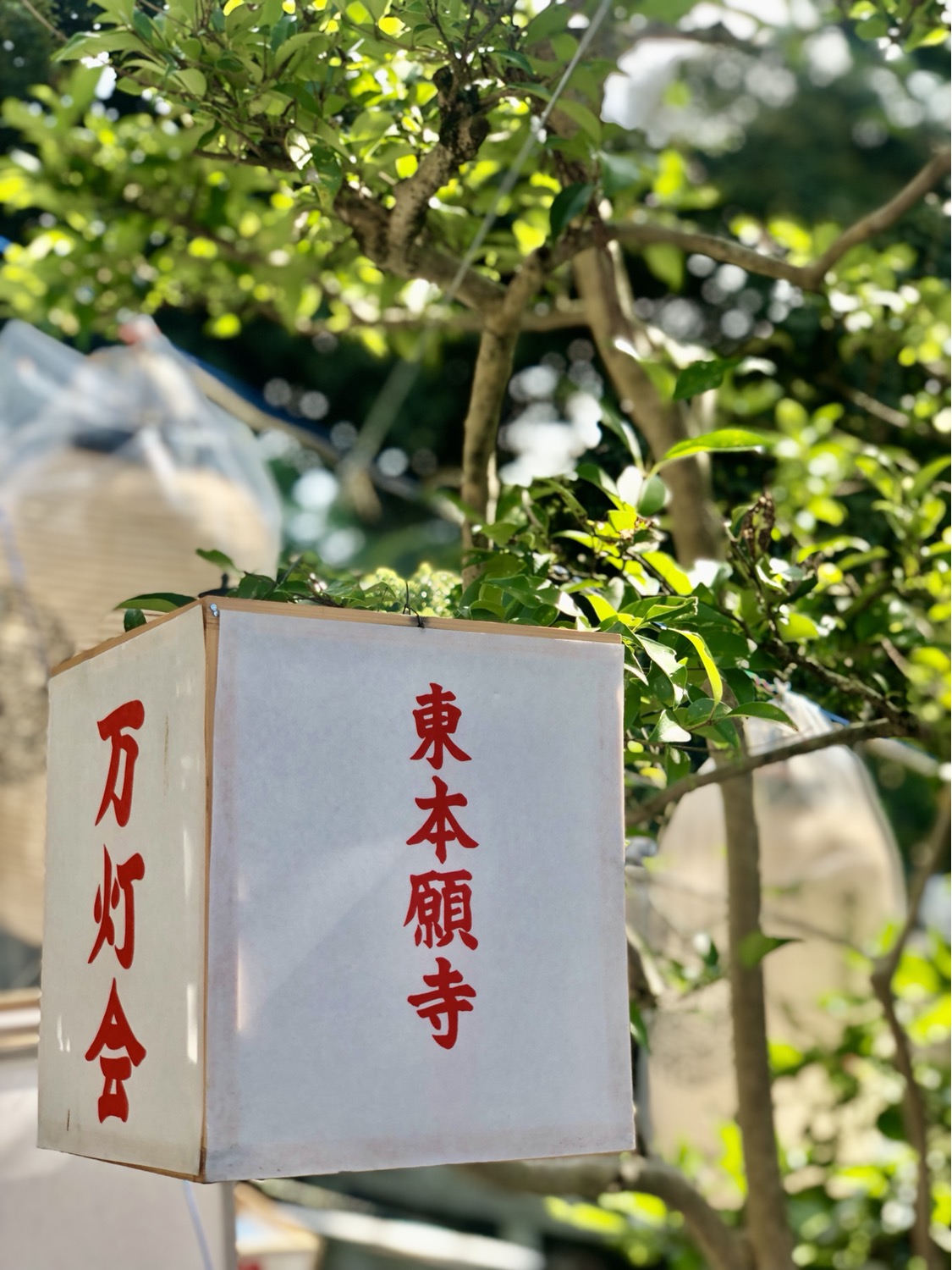 京都お墓まいり