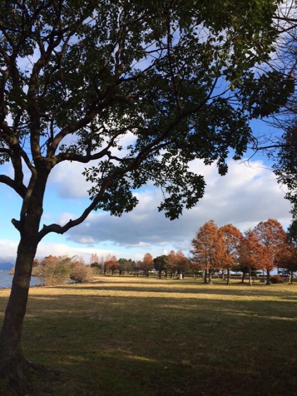 今朝の琵琶湖畔