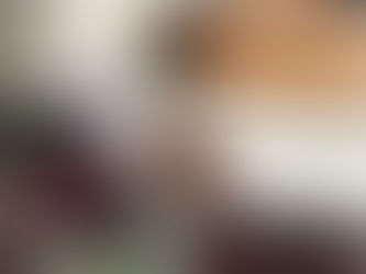 今朝の朝15分✨