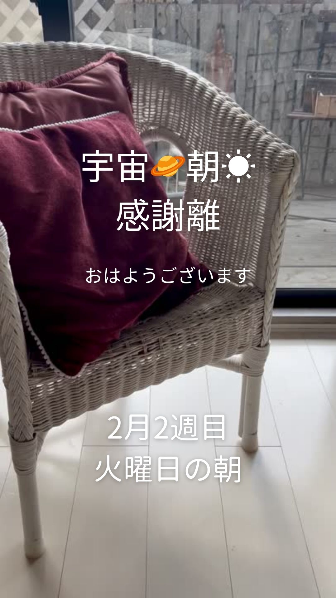 火曜の30分間の感謝離