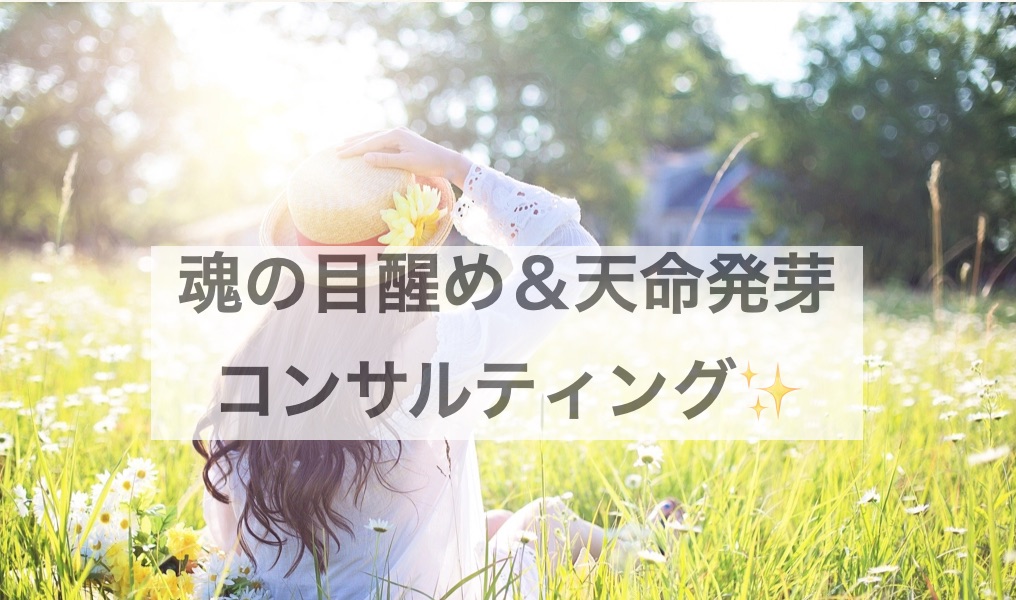 魂の目醒めコンサル0期