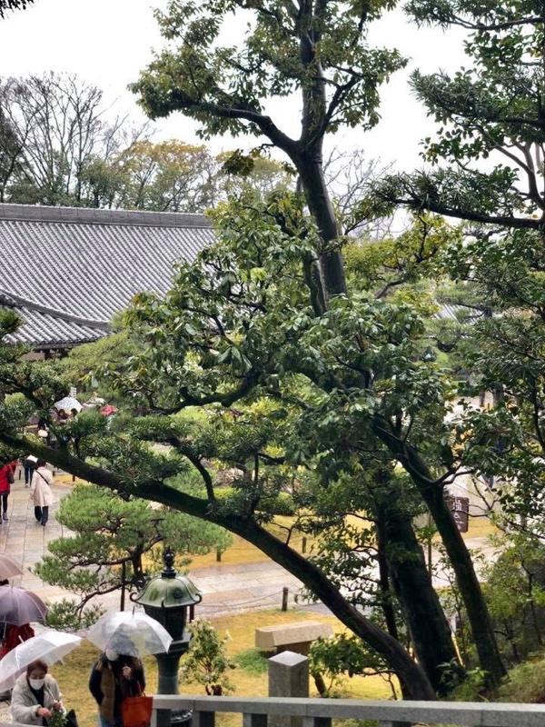 京都お墓まいり