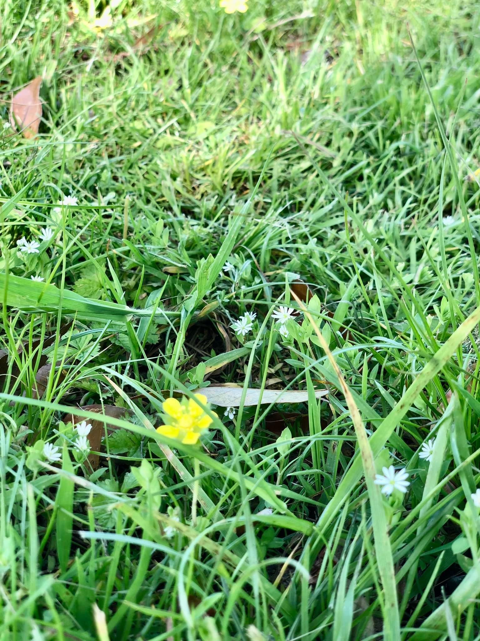 人との出逢いは一期一会✨