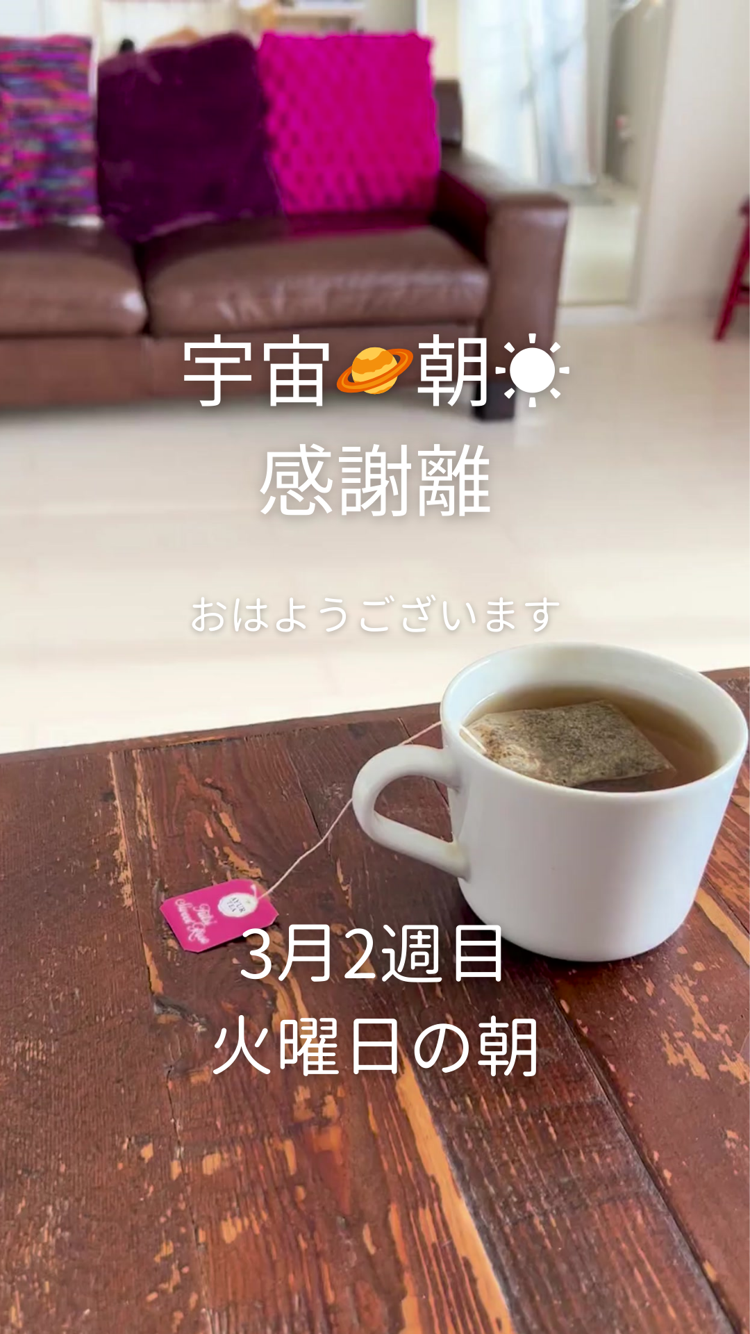 今朝の朝☀️感謝離