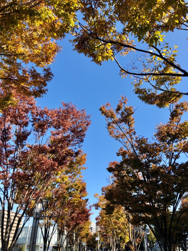 秋ファッション ベレー帽