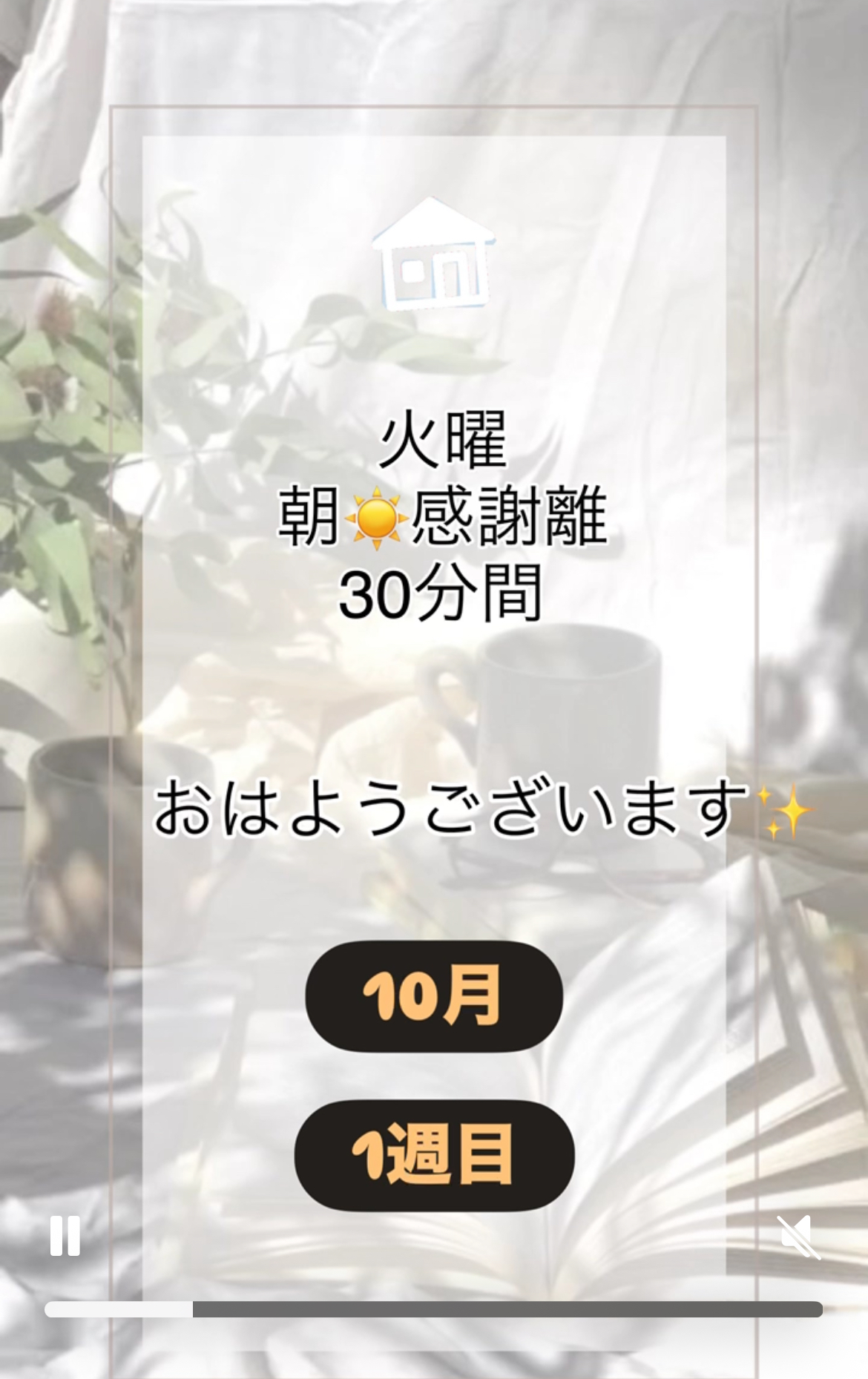 10月1週目✨火曜朝☀️感謝離