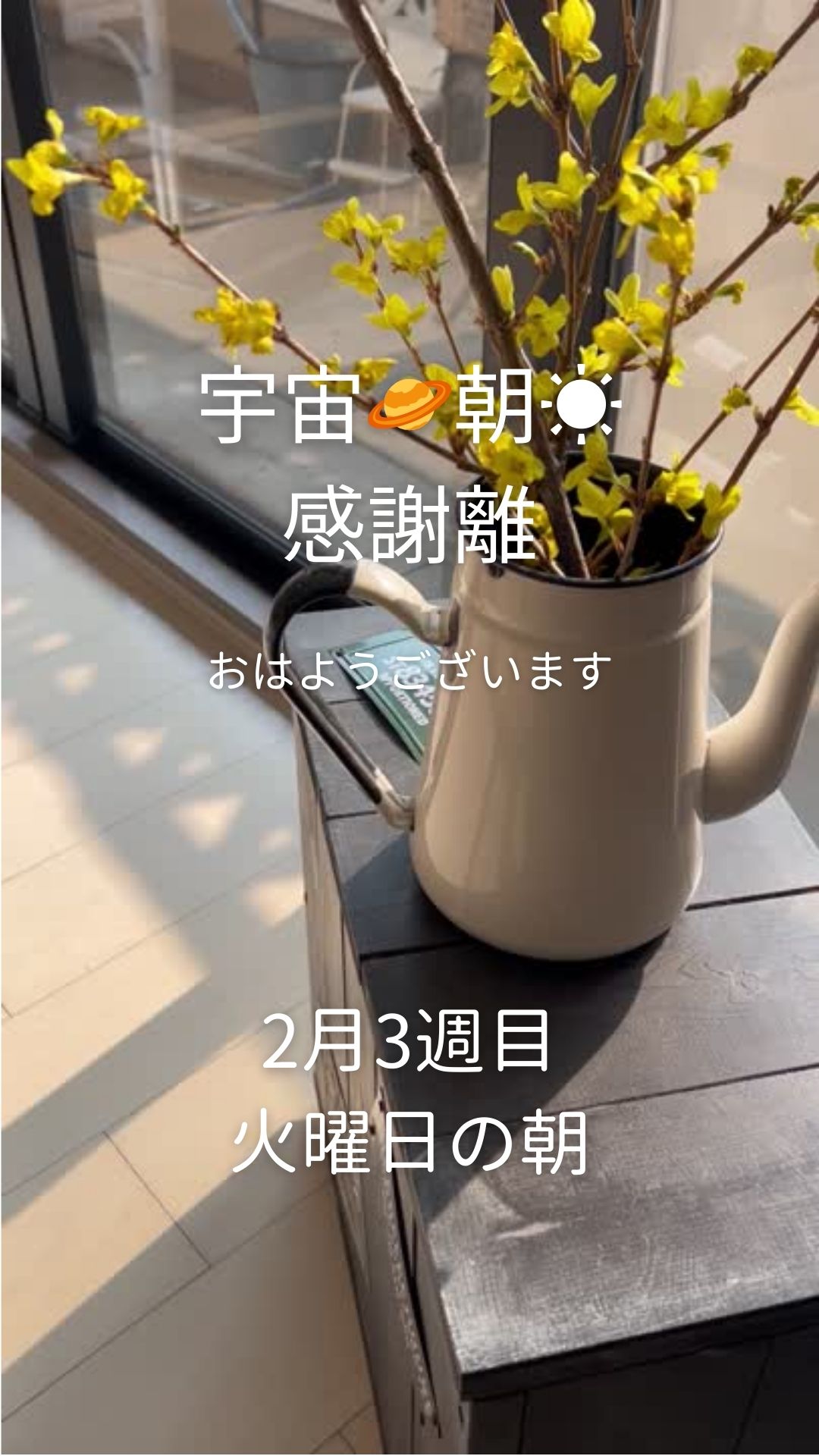 今朝の火曜朝☀️30分感謝離