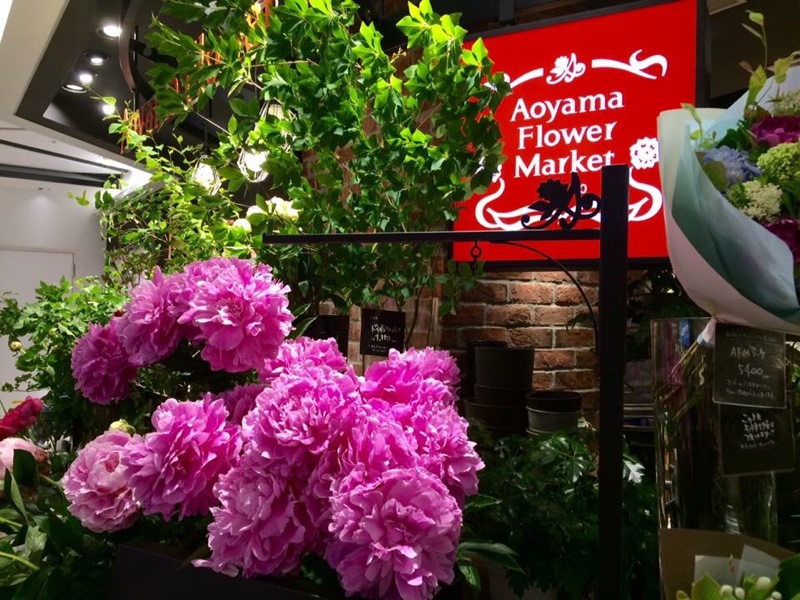 必ず足をとめて写真を撮ってしまう