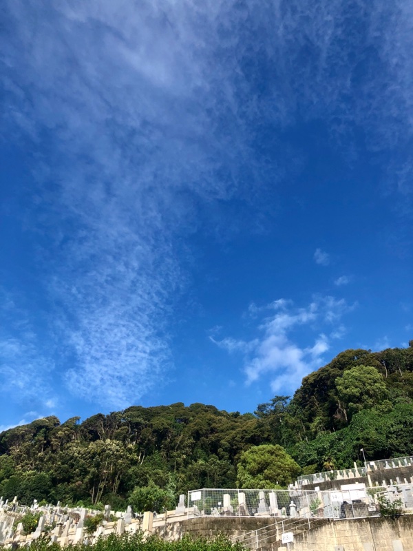 京都お墓まいり