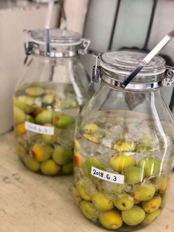 今年も梅酒♪できました