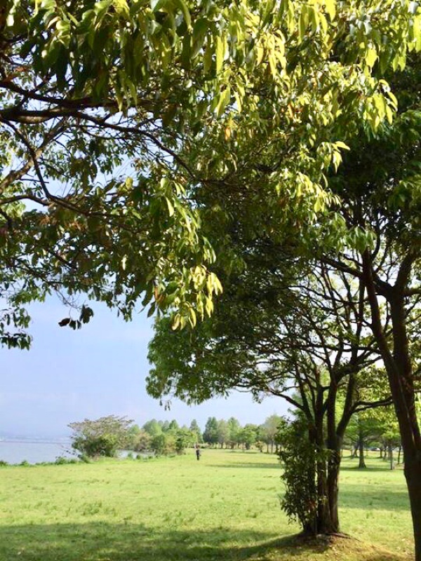 今朝の琵琶湖畔