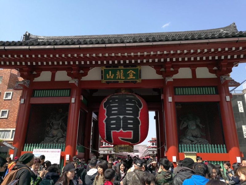 やっとその日が来たおばあちゃんと孫娘の旅