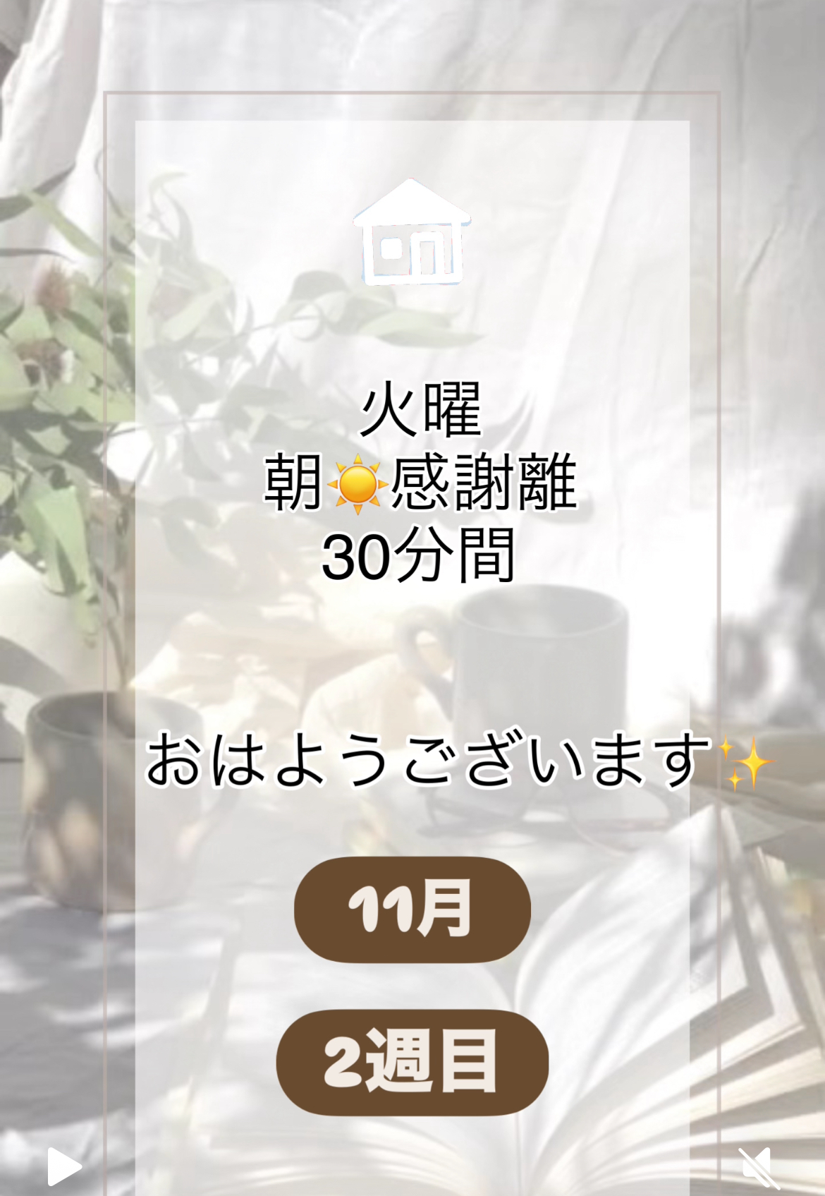 11月2週目✨火曜朝☀️感謝離