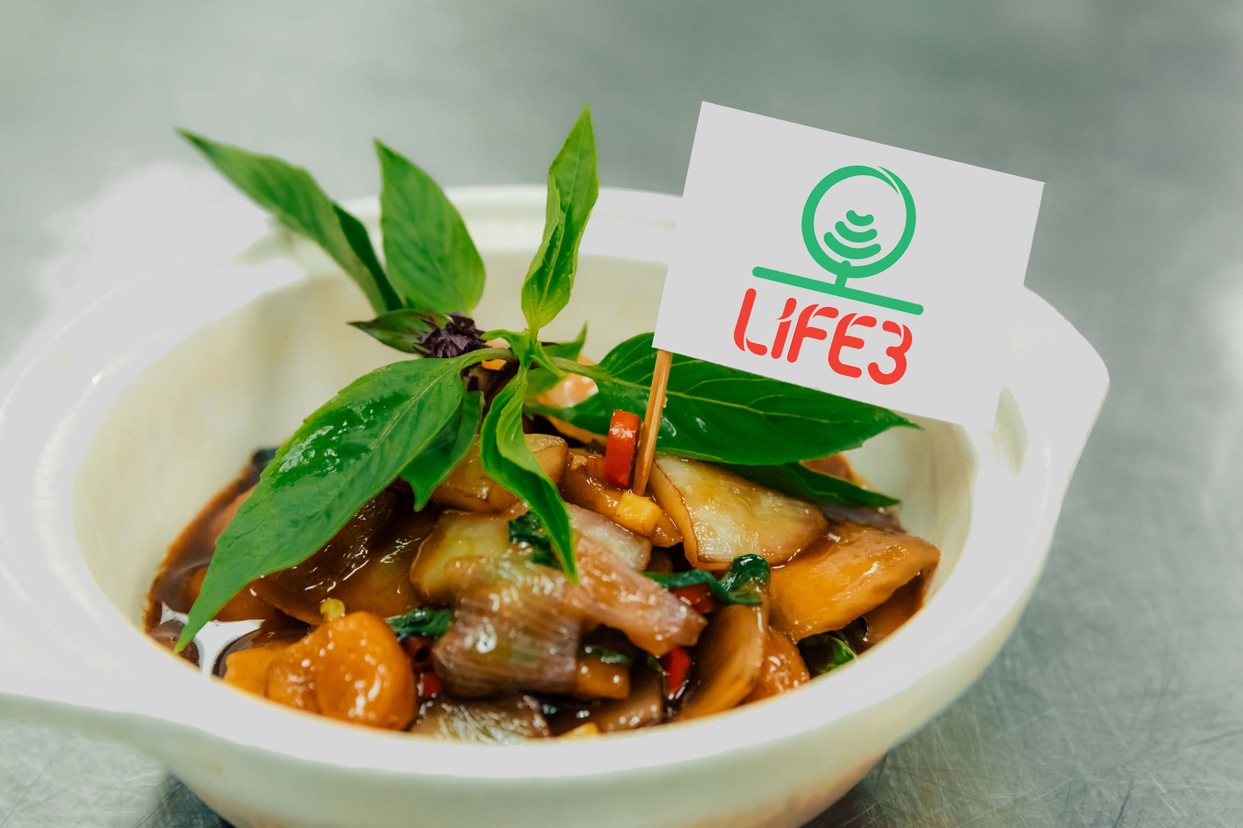 Life3 Biotech logo