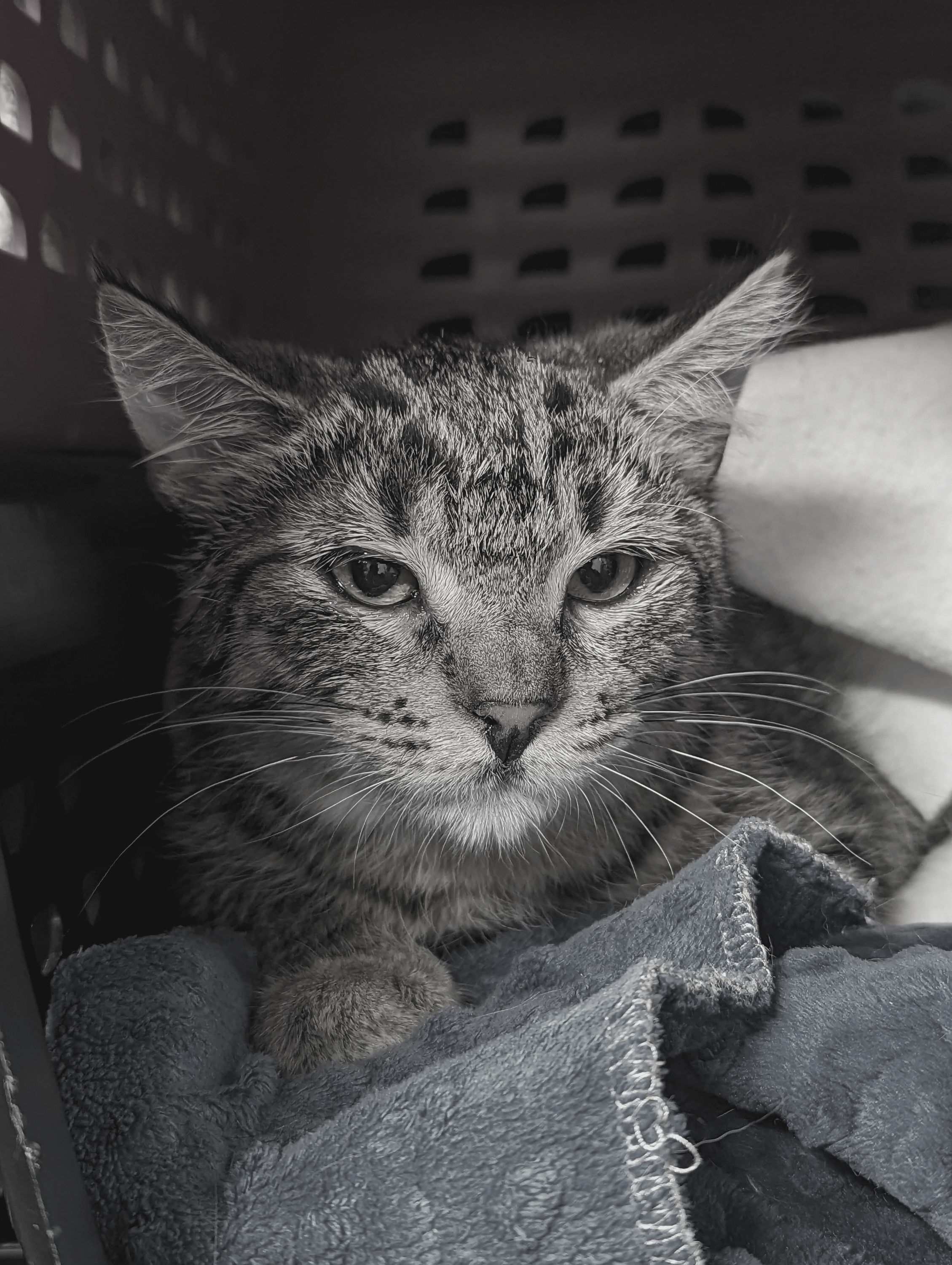 Writer: www.increasedaccess.org