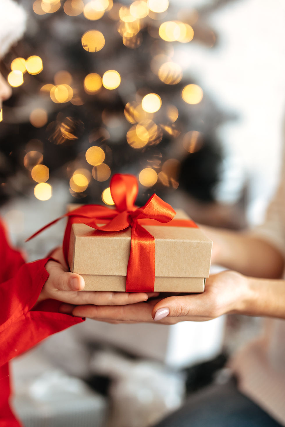 Christmas gifts, healthy gifts, healthy holidays