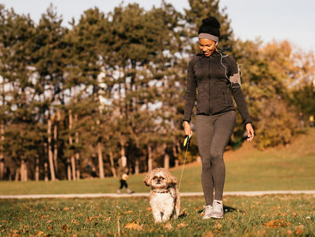 Feeling Stressed? Work it Out!