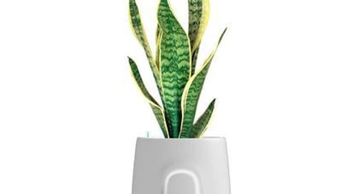 PURIFICATORE D'ARIA VITESY Natede Smart