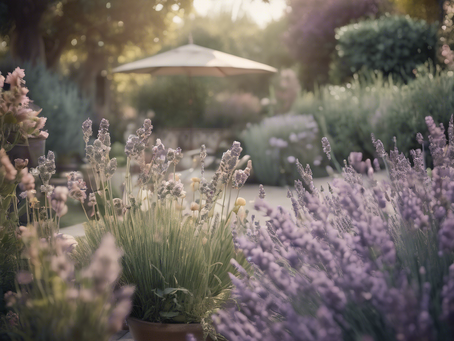 Discover Intuitive Wellness: Back to Love Counseling Services