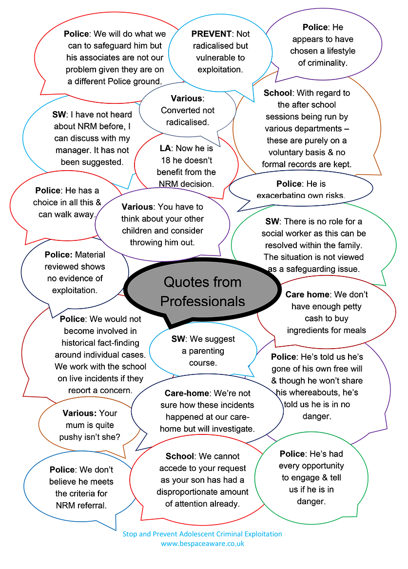 Professionals' Quotes - B&W.png