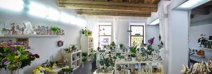 panorama_20201111_1727369783.jpg