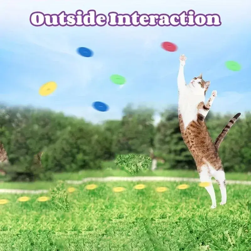 Thumbnail: Pounce & Chase Foam Launcher Toy