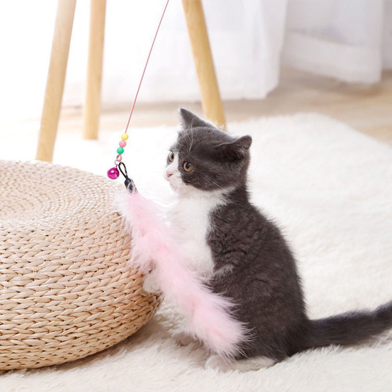 Pounce & Play Suction Cat Wand