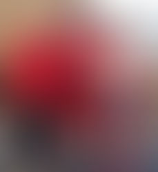 Second Revision of OSCE Gender Action Plan in Vienna