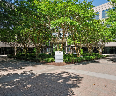 19-web-or-mls-_9288276.jpg