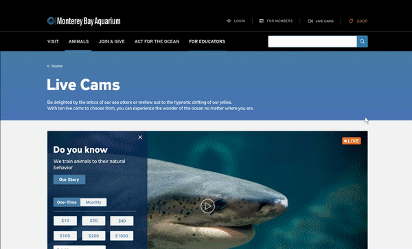 ezgif.com-gif-maker (1).gif
