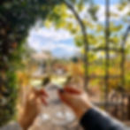 יקב רמת הגולן המלצות יקבים