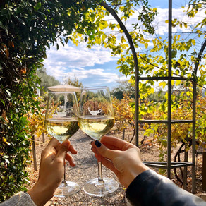 יקבי רמת הגולן Golan Heights Winery