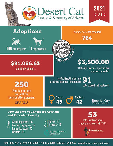 2021 Stats Infographic DCR.jpg