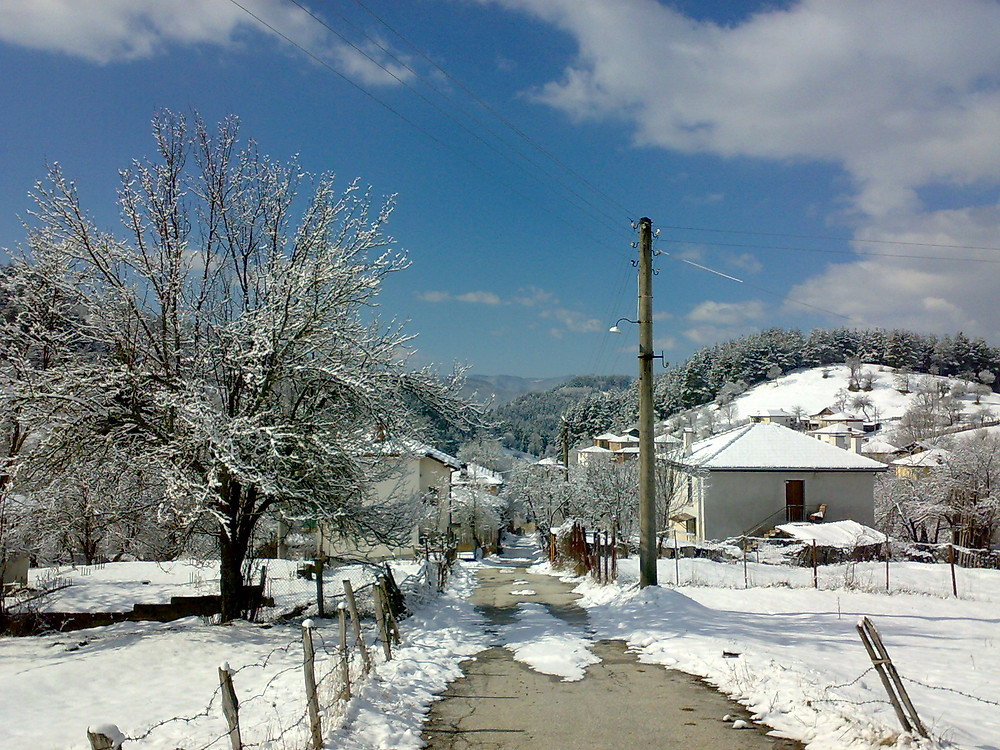 Village in the snow