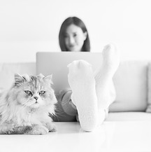 AdobeStock_368715775_edited.jpg
