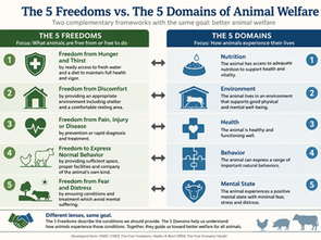 Image comparing the 5 freedoms and 5 domains of animal welfare