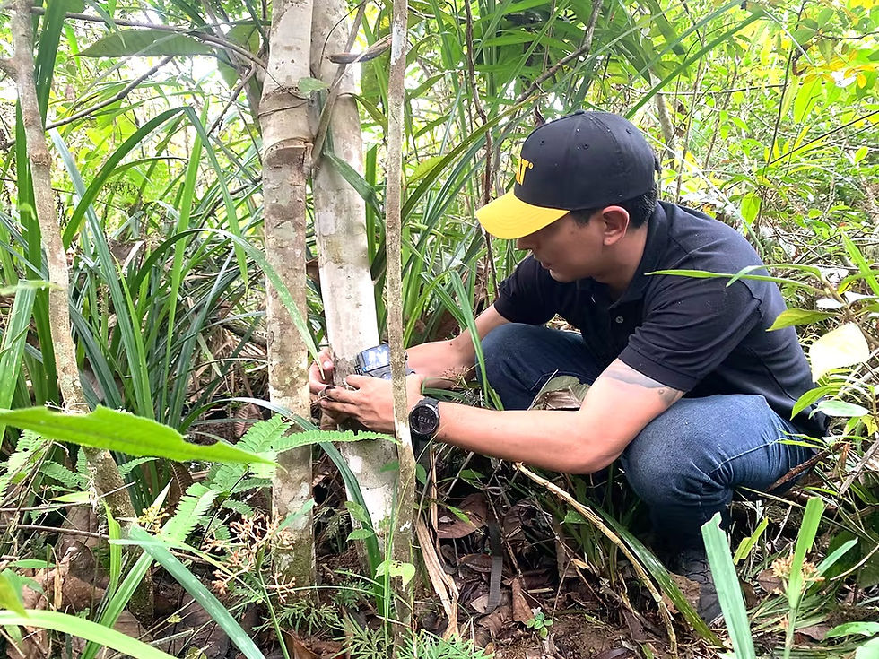 Felipe Usuga installing camera traps to monitor wildlife associated with Non-Timber Forest Products in the Amazon region