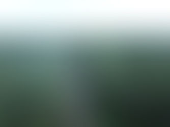 RMMV Conference: EU Regulation on deforestation-free supply chains