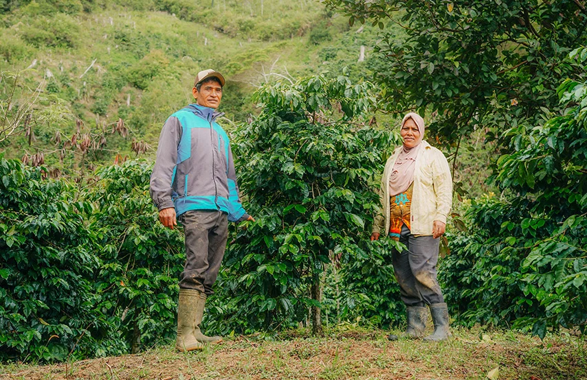 Image courtesy from Adena Coffee Website