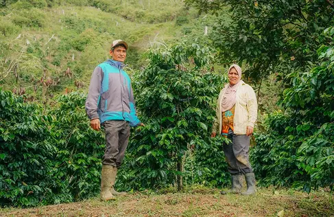 Image courtesy from Adena Coffee Website
