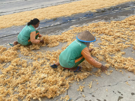 Empowering 650+ Seaweed Farmers: Advancing Traceability in Aquaculture for Sustainable Supply Chains in East Nusa Tenggara