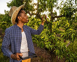agriculture-2025-03-08-20-31-09-utc.jpg
