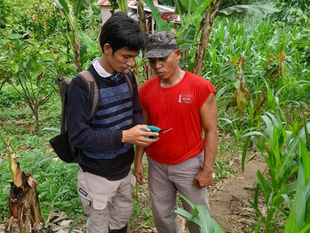Agroforestry solutions in practice showing diversified cocoa farms with shade trees supporting sustainable agriculture and ecosystem restoration.