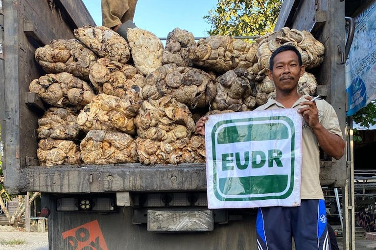 Only 12% of Downstream Firms have Traceability Systems in Place, KOLTIVA Urges Inclusive Segregation to Prevent Smallholder Exclusion